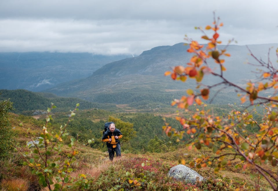 Bilder fra stien mellom Bleskestadmoen og Jonstølen i Suldalsheiene. Høstfarger, høst, støl, seter, Ryfylke. Marius Dalseg på bildene.
