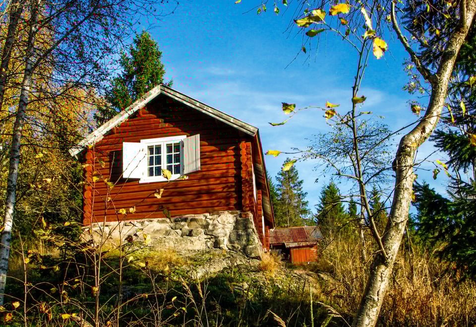 Rødmalt hytte med hvite vindukarmet omkranset av bjørkeskog