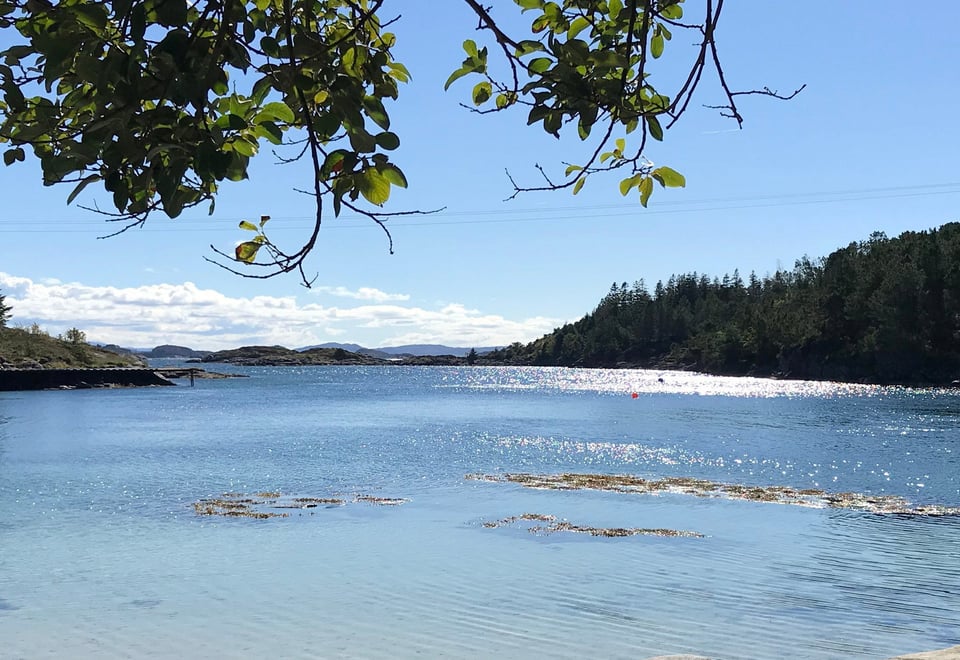 BOF Sveholmen på Austevoll, sommer 2020