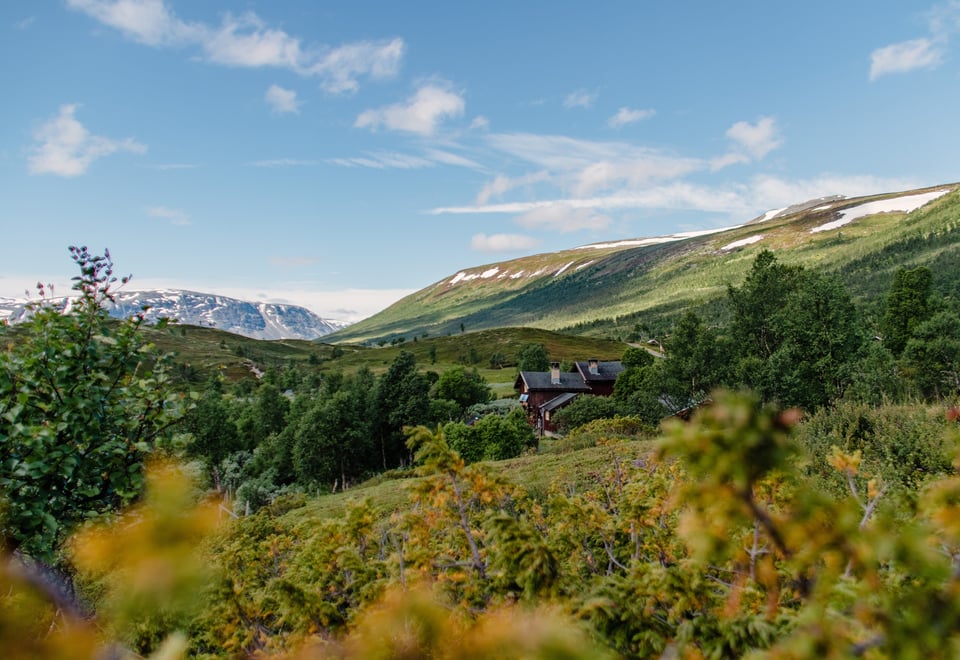 Et kupert landskap med trær i forgrunnen, en brun stue/bygning i mellomgrunnen, og et par slake fjell i bakgrunnen