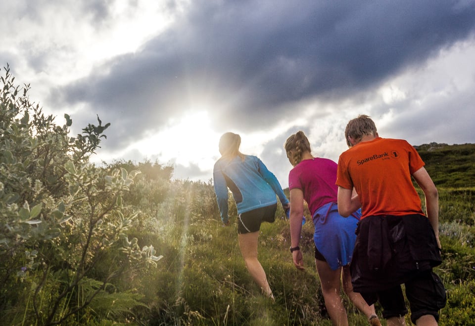 Vi ser ryggen av tre personer som går foran fotografen, alle i t-skjorter, idet alle er på vei opp en bakke, i retning mot venstre. Solen er rett bak den forreste personen. Grønn vegetasjon omgir dem. 