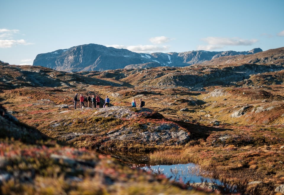 Høst ved Haukeliseter, bilder fra tur rundt Venaretjønn, på norsiden av hytta.