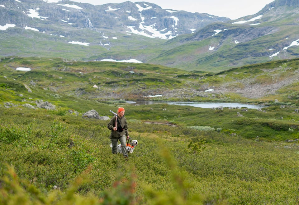 Jakt - Haukeliseter 2022