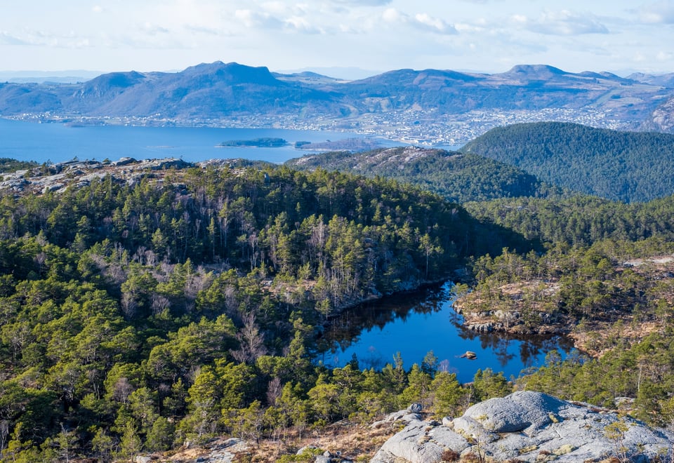 Bilder fra Hesten naturreservat, Strand kommune. Furuskog, gammelskog, naturvern, landskap, kystfuruskog.