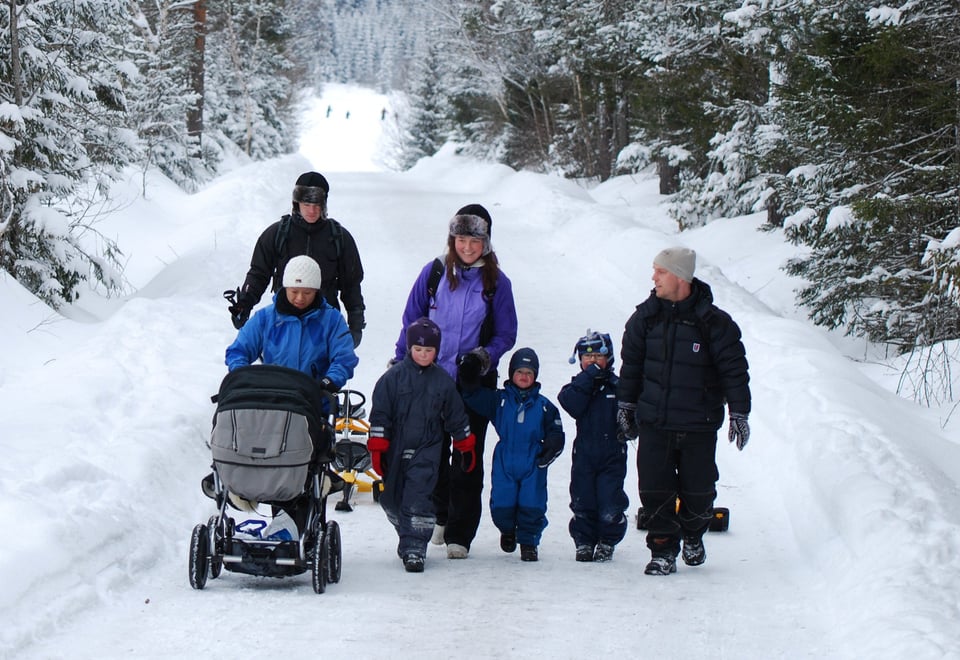 Fire voksne, tre barn, og en barnevogn, kommer gående mot oss langs en vei gjennom skogen, midt på vinteren. Alle er kledd for aktiviteter i snøen-