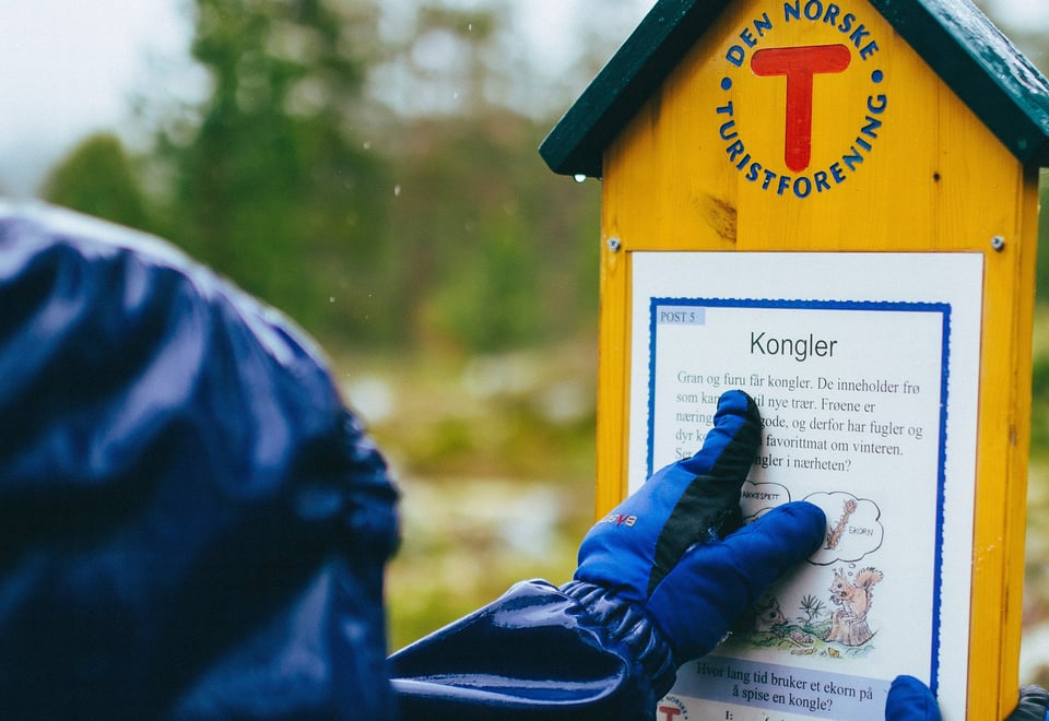 Barnas turlag med familicamp på Sota sæter i Juli 2015. 