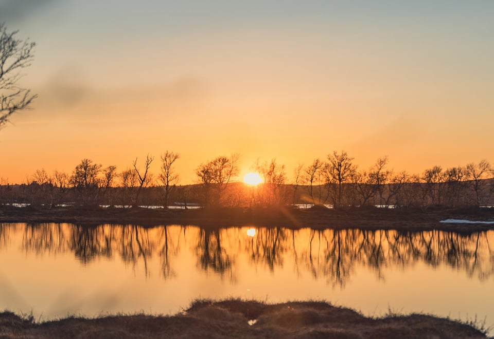 En vakker solnedgang blant de glisne trærene i Femundmarka. 