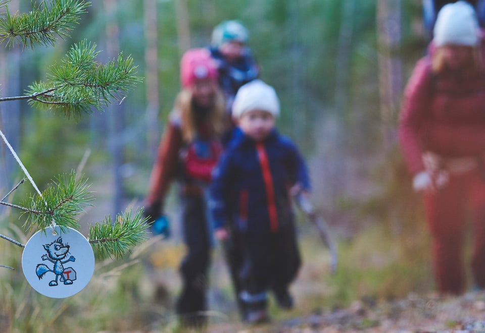 personer som går på tur i skog.