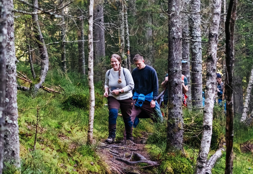 To personer som går på en sti gjennom en skog