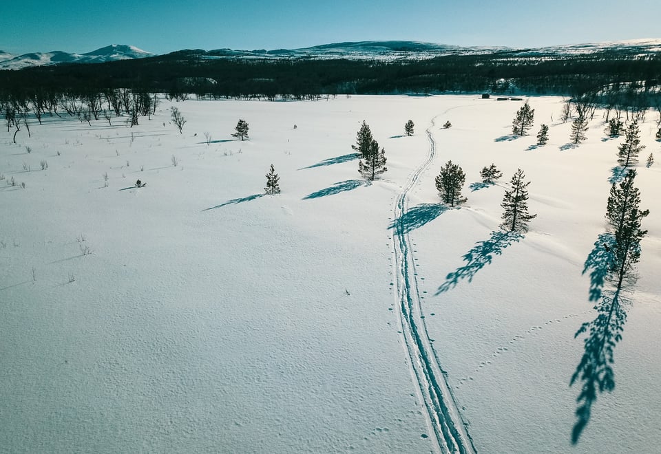 Godt med plass for nydelige skiturer i Femundsmarka