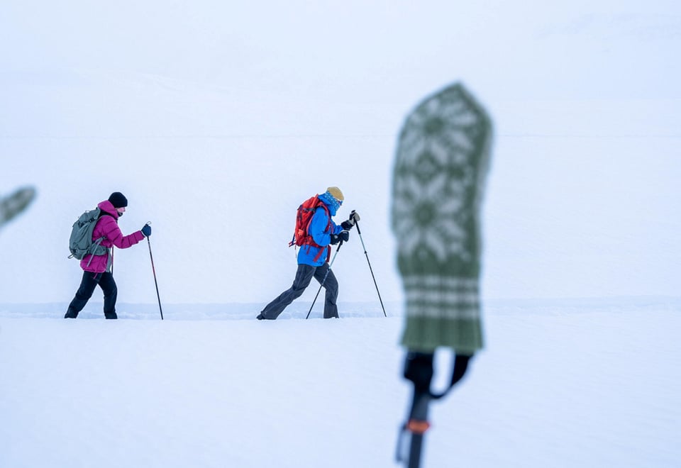 personer som går på ski.