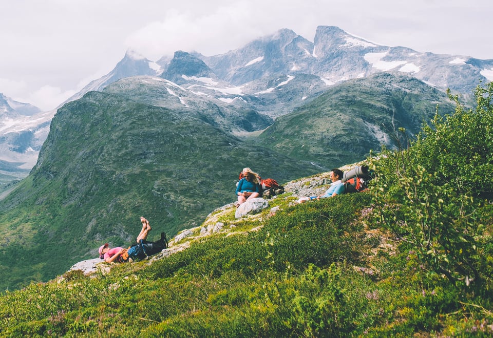 Tre personer som ligger i lyngen og slapper av på sommeren