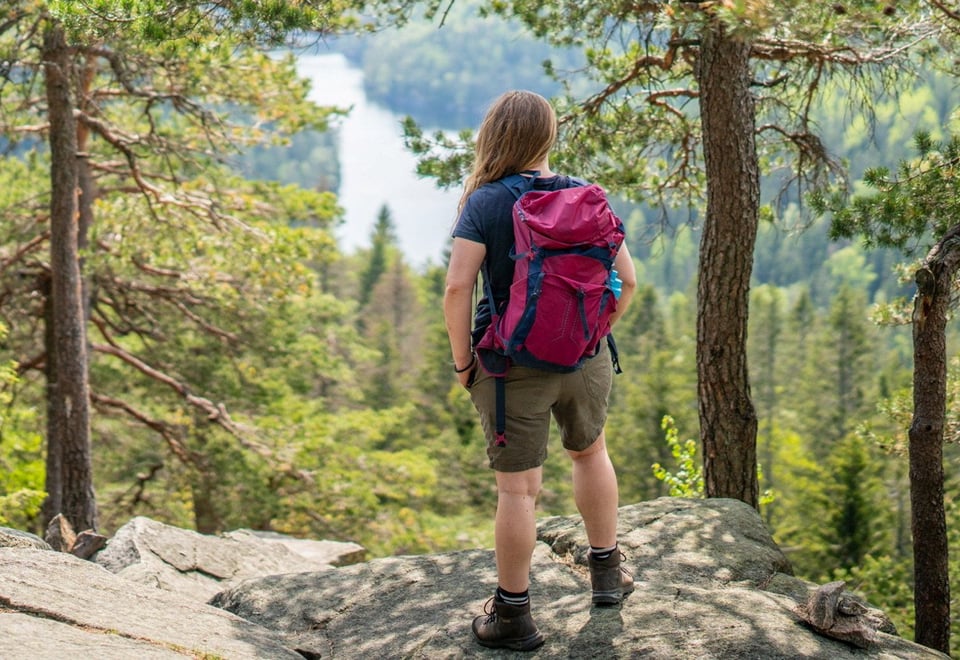 Topptur til Tonekollen i Østmarka