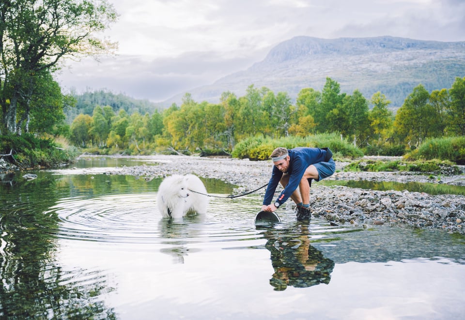 Sommerferieidyll i vakre Ryfylkeheiane.