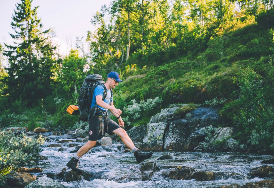 Fra ruta mellom Høgevarde og Toveseter. Sommeren 2021.