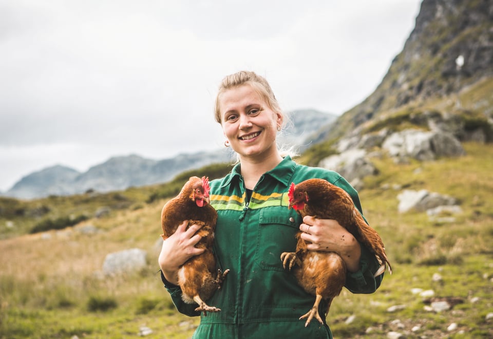 Iungsdalshytta i Skarvheimen, sommeren 2021.