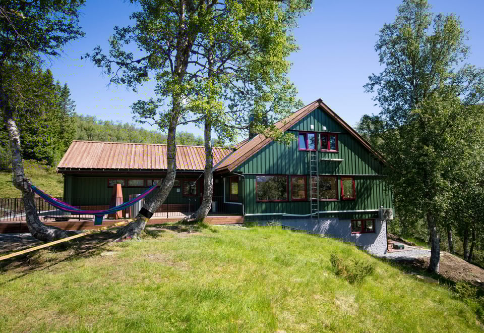 Fjelleir ved Alexander Grieghytten i Bergsdalen, juni 2021.