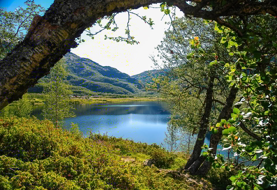 Aurlandsdalen Turisthytte Østerbø