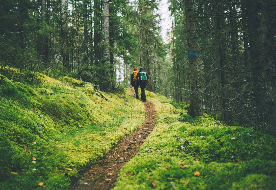 175-årsfeiring av Fortidsminneforeningen på Abborhøgda i Finnskogen.