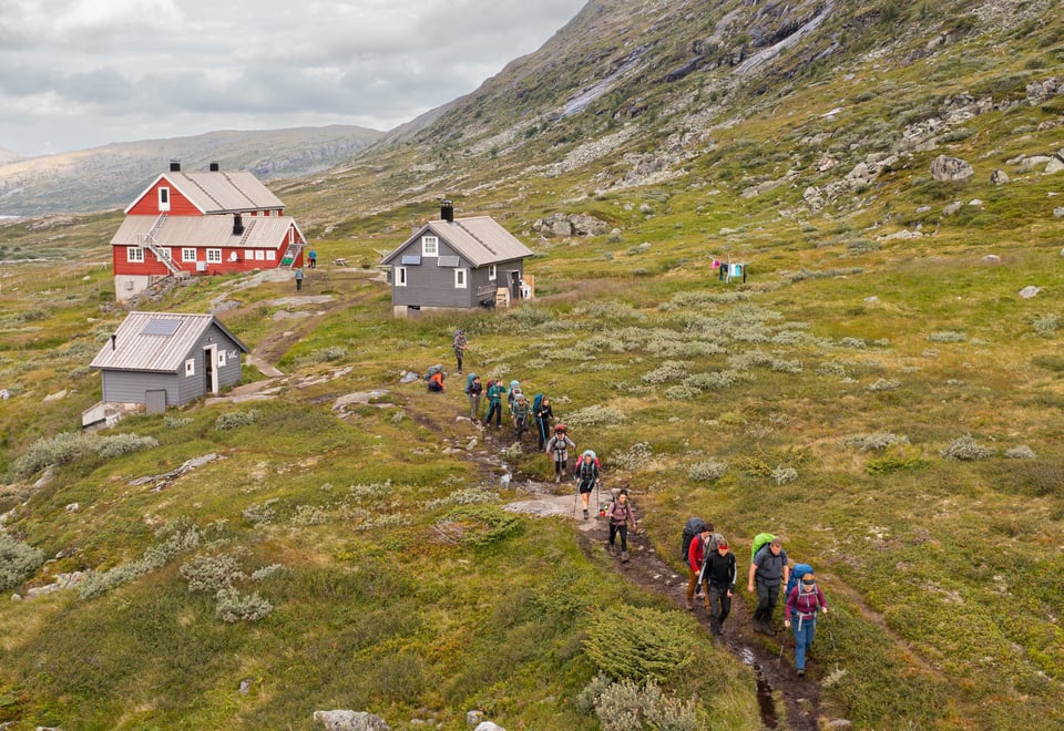 Stavali, august 2023.