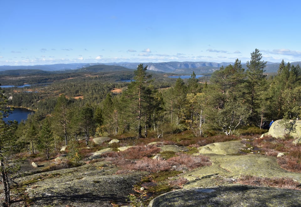 Skog og berg i høyfjellsnatur på en solskinnsdag