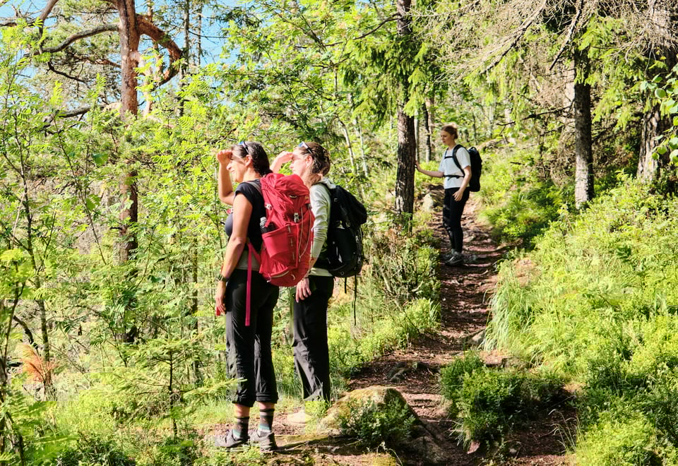Tre personer på tur i skogen, to står tett sammen og skuer utover landskapet, mens en tredje står lenger bak med hånden på et tre. Alle bærer ryggsekker, og stien de går på er omgitt av tett, grønn vegetasjon