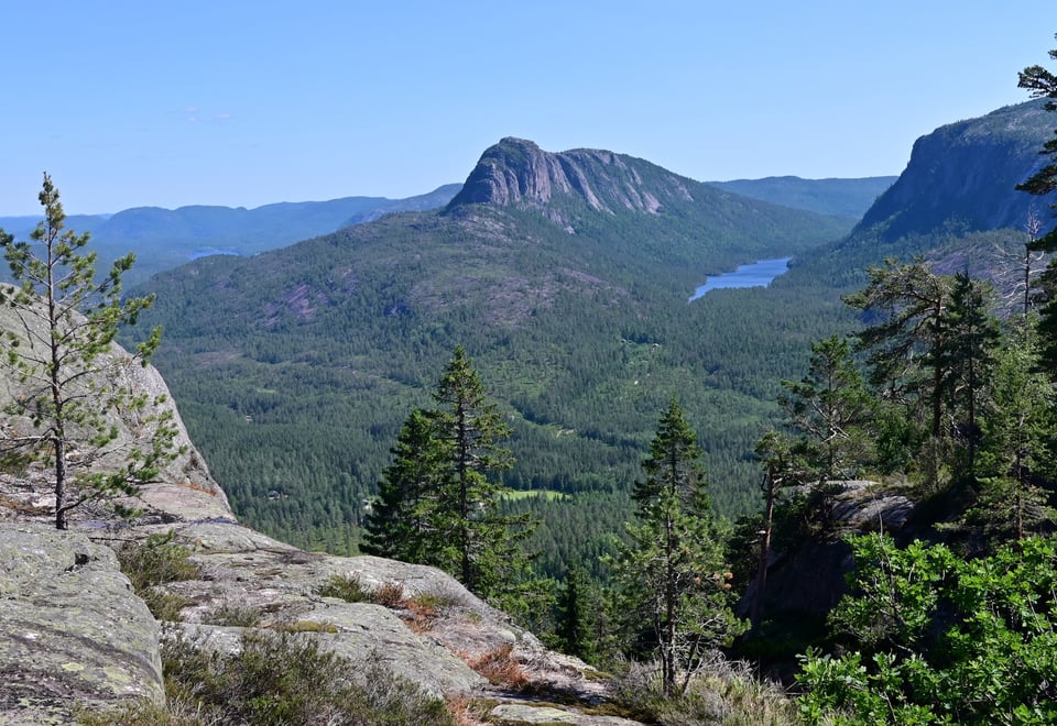 Utsikt mot fjell og skog en sommerdag, blå himmel og sol