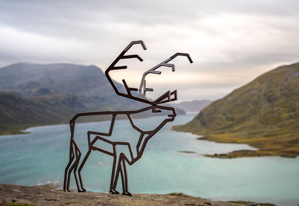 Høst på Fondsbu -turmål - Reinsdyret