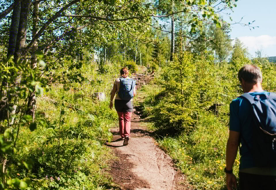 Tur til Kobberhaughytta, sommer 2025