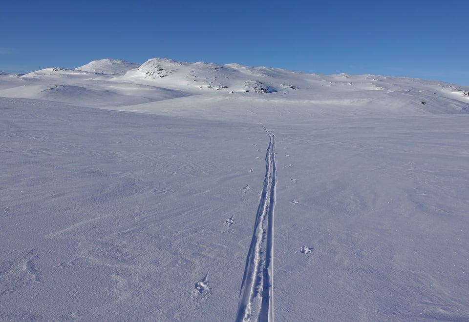 Bilder fra fjell innover til Såtahjallane