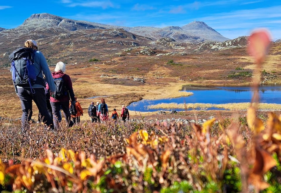 Fellestur til Skinanutan med Notodden og Hjartdal Turlag, september 2024.