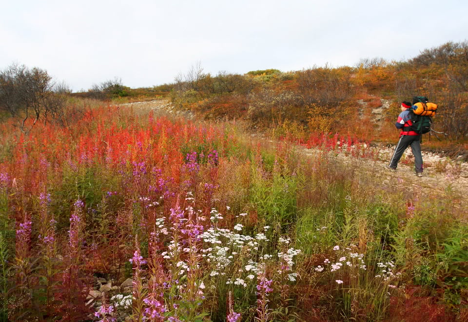 Høst i Vadsø Vadsø i Finnmark 