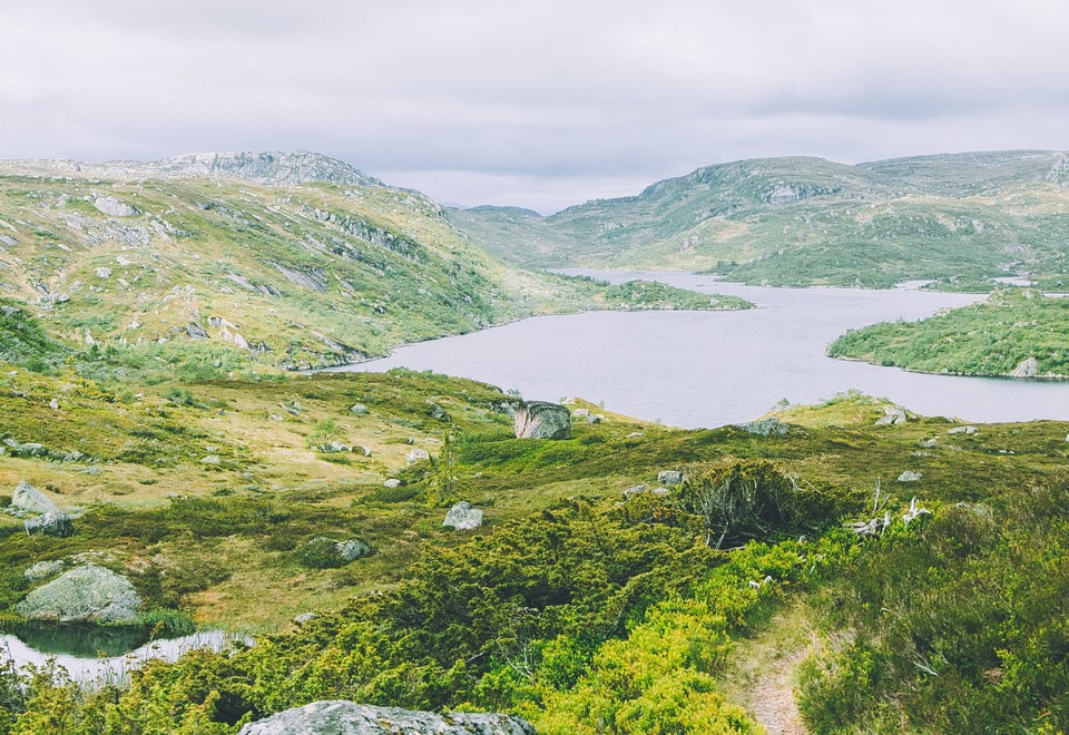 Setesdalsheiene på Tvers