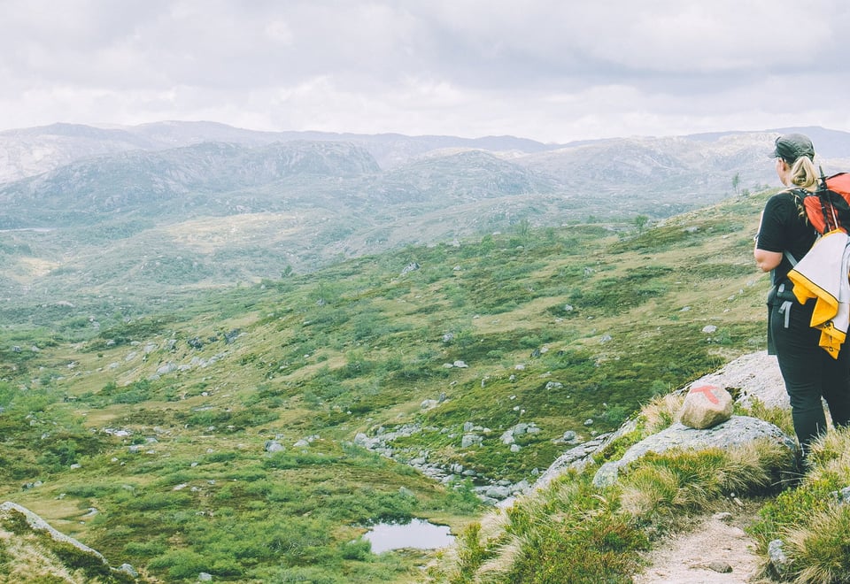 Setesdalsheiene på Tvers