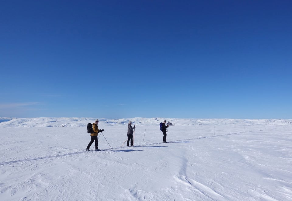 På toppen av Hardangerjøkulen
