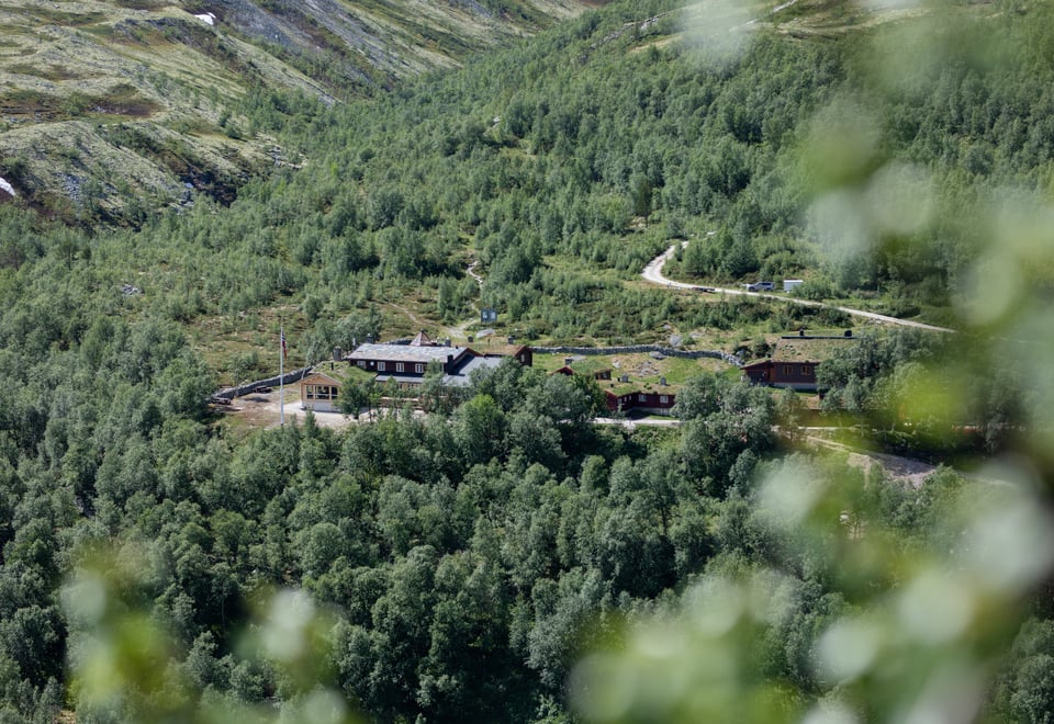 fra ny stueåpning på bjørnholia