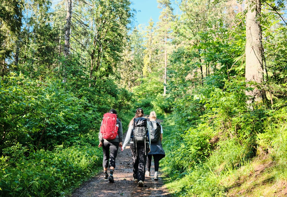 Tre personer som går på en sti i skogen