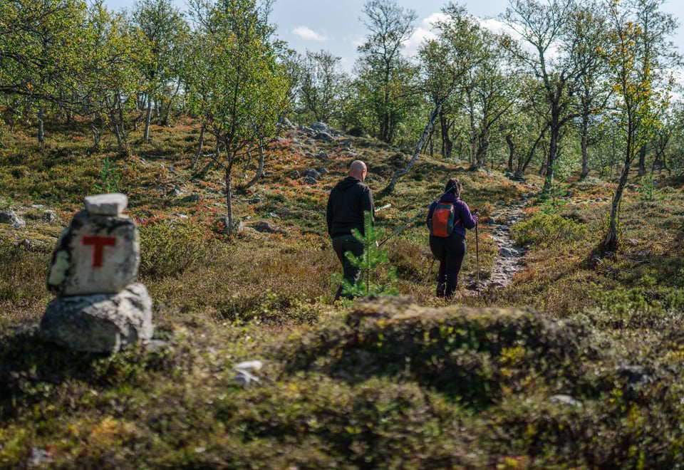Svukuriset i Femundsmarka
