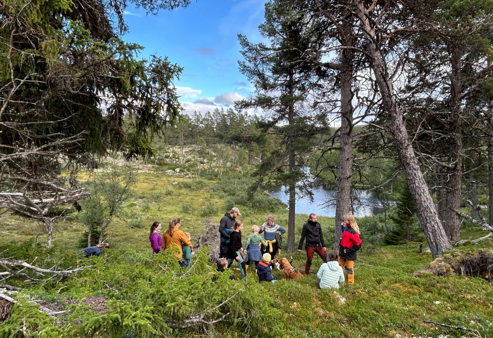 Tur i Langsua nasjonalpark med Barnas turlag