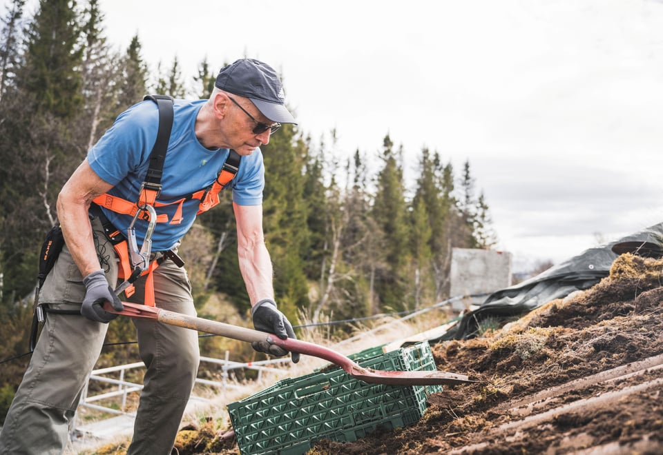 Dugnad på Gjevilvasshytta. Skifting av tak og utskiftning av vinduer. 