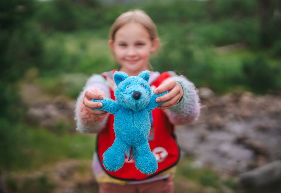 Liomseter og Langsua