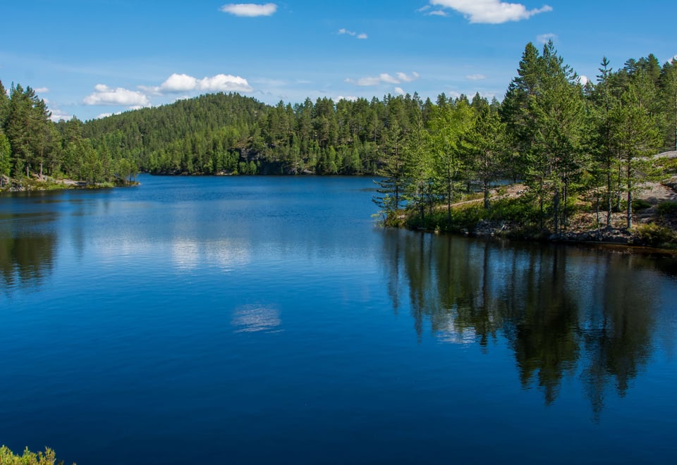bilde av et mindre vann med granskog rundt. det er blå himmel som som gjenspeiles i vannet