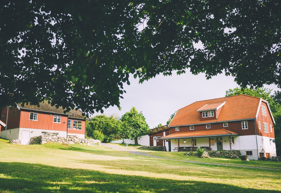 Grønn plen, røde og hvite hus, trær