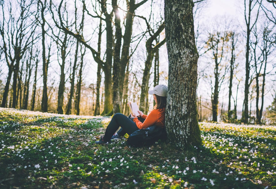 Person i blomstereng, leser en bok