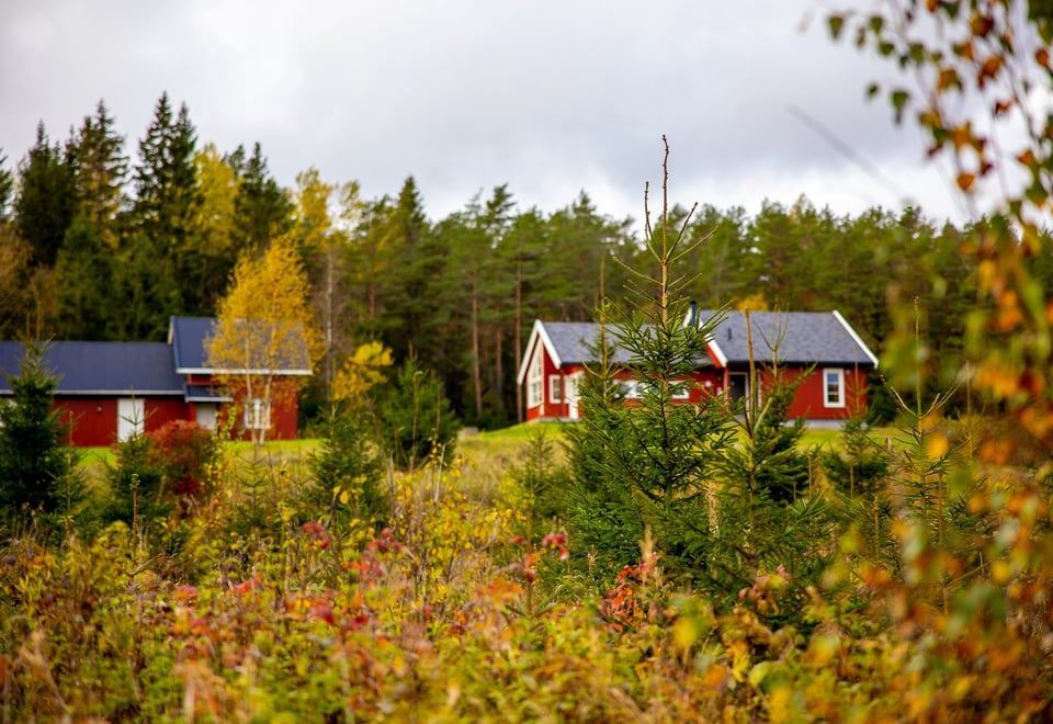 Østtorphytta