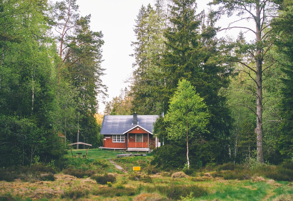 Rød hytte i skogen