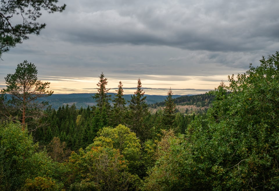 På sykkeltur fra Sognsvann til Kobberhaughytta i forbindelse med åpning av den nye turstien fra Blankvann.