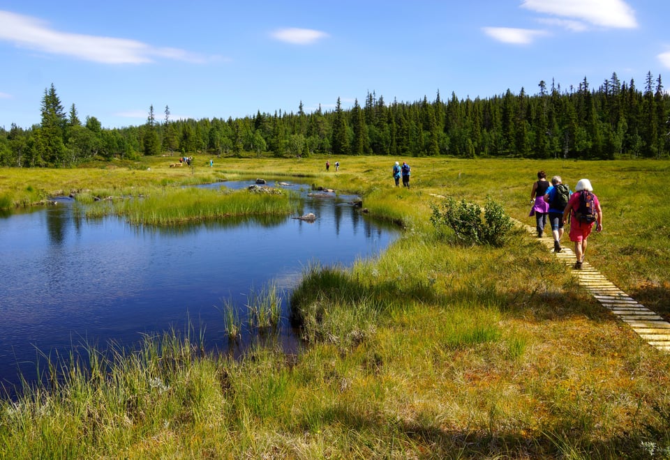 Åpning av Vassfarstien fra Fønhuskoia til Bekkjeset i Nes Østmark.