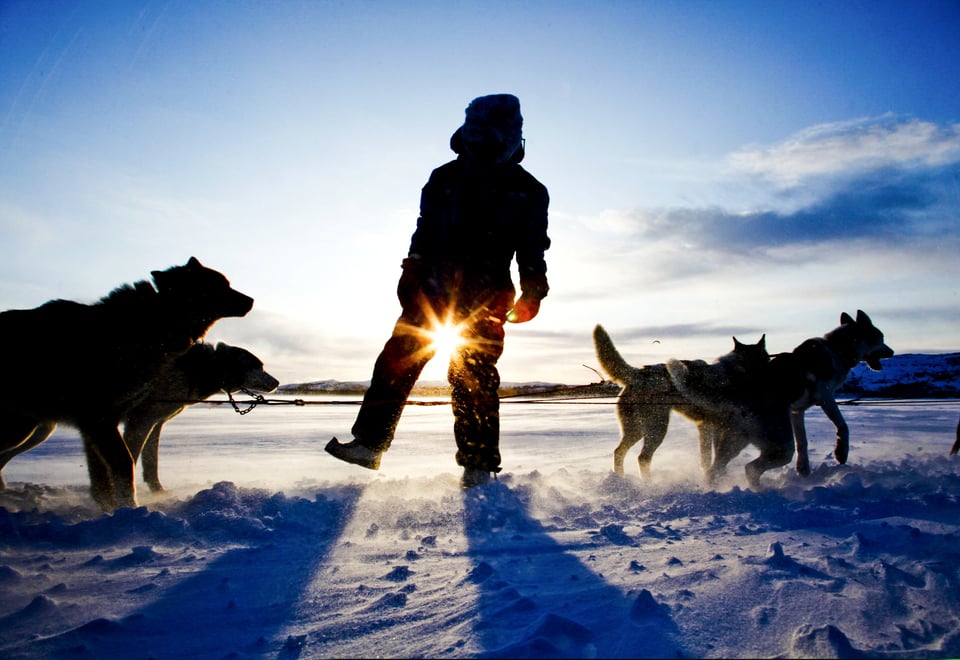 Kirkenes
Hundesledetur i vinterland 
Kirkenes i vintersol  [steinbra@aftenposten.no, 90101502]
