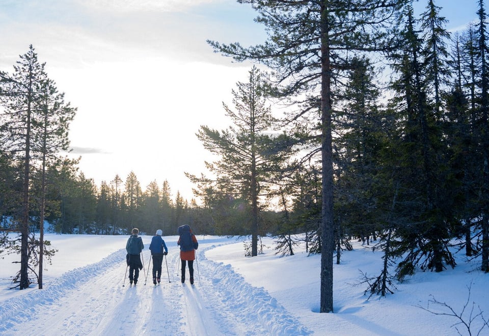 Hovlandshytta. DNT Drammen. Ny hytte.